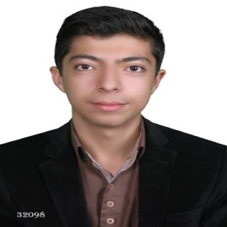 ماهان محمدی هندواری